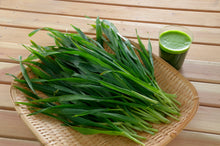 Load image into Gallery viewer, KODAMA SOD Organic Young Barley Green Grass Powder 10 Pack set (3g*30 sachets x 10)