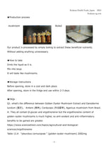 Load image into Gallery viewer, Golden Oyster Mushroom Extract (42mg x 30 Packets)