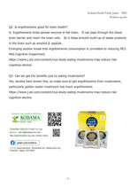 Load image into Gallery viewer, Golden Oyster Mushroom Extract (42mg x 30 Packets) 2Boxes